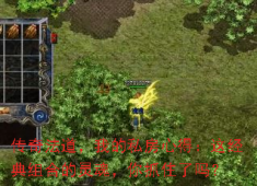 传奇法道组合精髓：攻防一体，掌控战场的终极秘诀