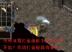 传奇冰雪打金服：新手零基础速成，五大