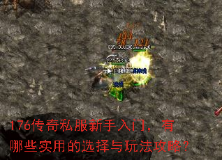 176传奇私服新手入门，有哪些实用的选择与玩法攻略？