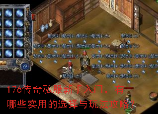 176传奇私服新手入门，有哪些实用的选择与玩法攻略？