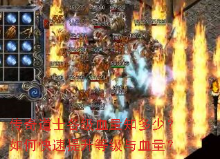 传奇道士各级血量知多少?如何快速提升等级与血量? 传奇道士各级血量知多少?如何快速提升等级与血量?