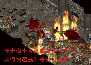 传奇道士各级血量知多少?如何快速提升等级与血量? 传奇道士各级血量知多少?如何快速提升等级与血量?