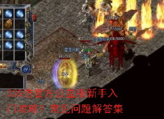 335仿官服新手必看：公益服入门与满级攻