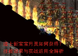 道士新宝宝月灵如何获得?技能效果与实战运用全解析 道士新宝宝月灵如何获得?技能效果与实战运用全解析