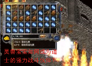 灵兽宝宝如何成为道士的强力战斗伙伴? 灵兽宝宝如何成为道士的强力战斗伙伴?