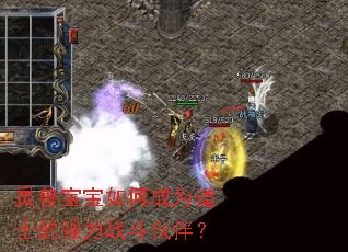 灵兽宝宝如何成为道士的强力战斗伙伴? 灵兽宝宝如何成为道士的强力战斗伙伴?