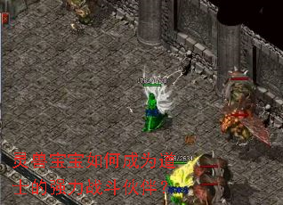 灵兽宝宝如何成为道士的强力战斗伙伴? 灵兽宝宝如何成为道士的强力战斗伙伴?