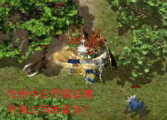 白野猪刷新点全解析：三大地图高效狩猎