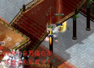 传奇中白野猪在哪些地点刷新最多? 传奇中白野猪在哪些地点刷新最多?