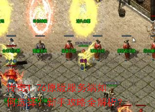 传奇1.76原版服务端如何选择？新手攻略全解析？