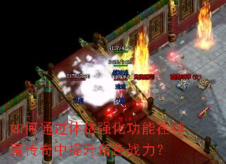 如何通过体格强化功能在神魔传奇中提升角色战力？