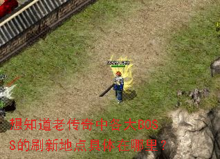 想知道老传奇中各大BOSS的刷新地点具体在哪里？