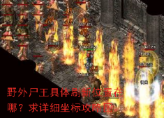 野外尸王刷新点全揭秘，高级技能书坐标