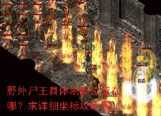 野外尸王具体刷新位置在哪？求详细坐标攻略图。