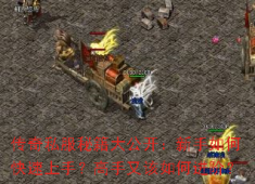 传奇私服速成攻略：从萌新到大神的终极指南