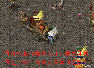 传奇私服秘籍大公开：新手如何快速上手？高手又该如何进阶？
