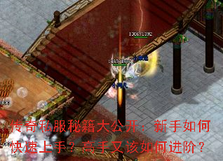传奇私服秘籍大公开：新手如何快速上手？高手又该如何进阶？