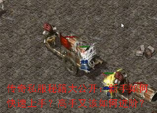 传奇私服秘籍大公开：新手如何快速上手？高手又该如何进阶？