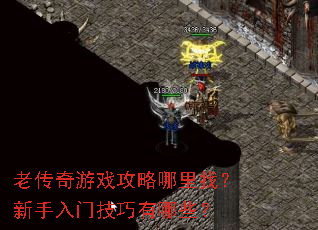 老传奇游戏攻略哪里找？新手入门技巧有哪些？