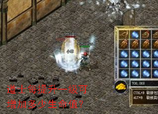 道士每提升一级可增加多少生命值？