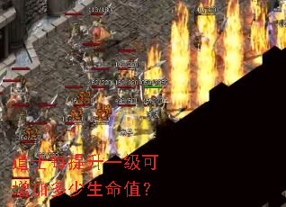 道士每提升一级可增加多少生命值？