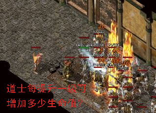 道士每提升一级可增加多少生命值？