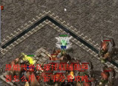 原始传奇私服挂机辅助使用指南，新手速